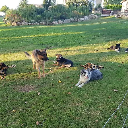 Boubee * Mas-d'Auvignon