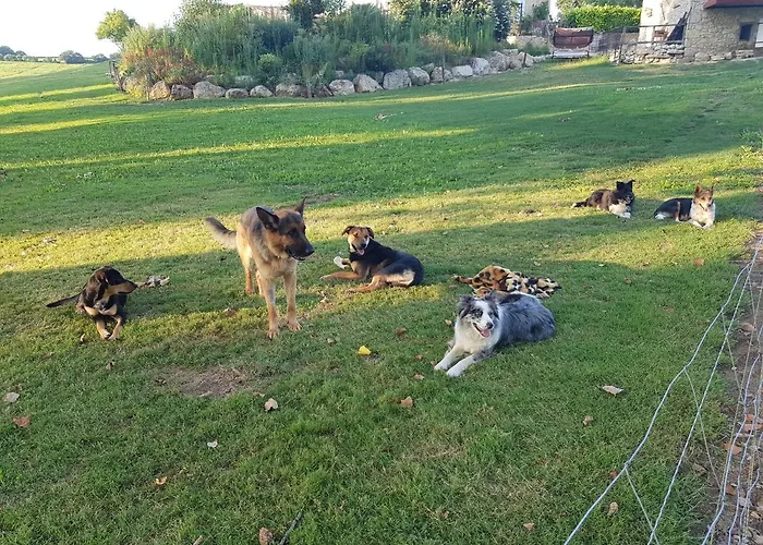 Boubee * Mas-d'Auvignon