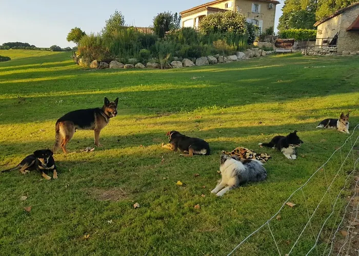 Boubee Prázdninový dům Mas-d'Auvignon